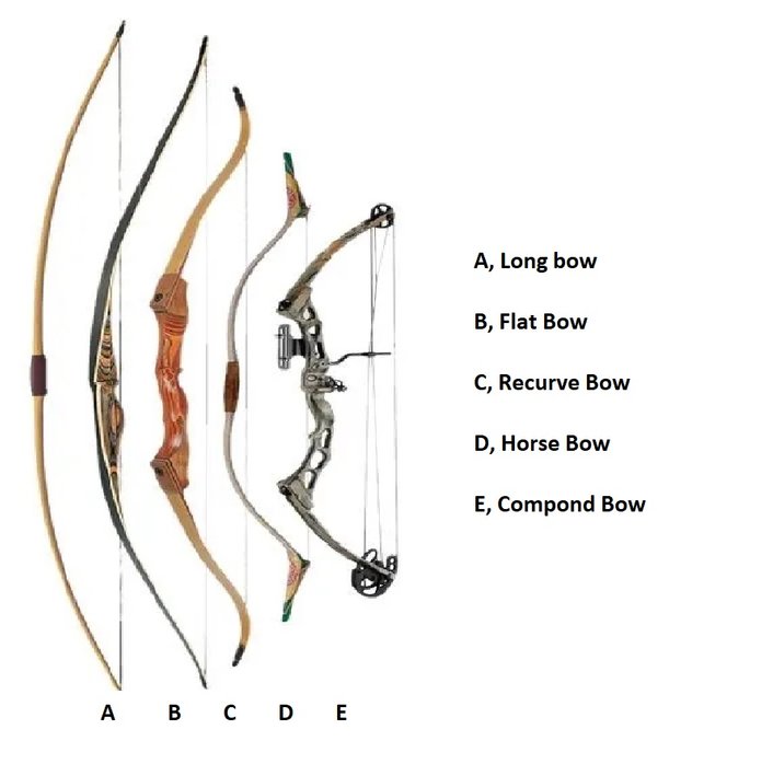 What Are The Different Types Of Bows?