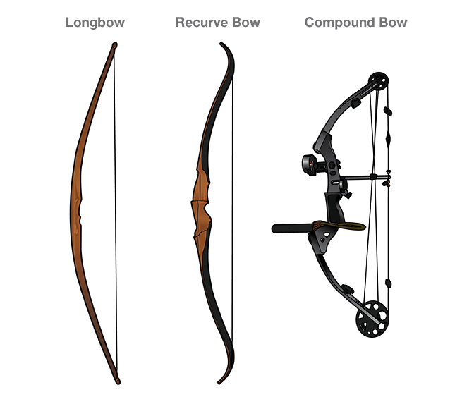 What Are The Different Types Of Bows?