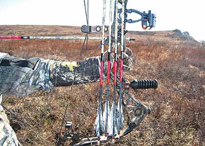 What Is Bow Torque?